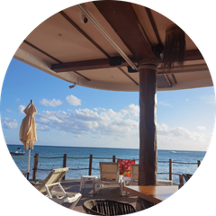 Jas Singh profile
          image